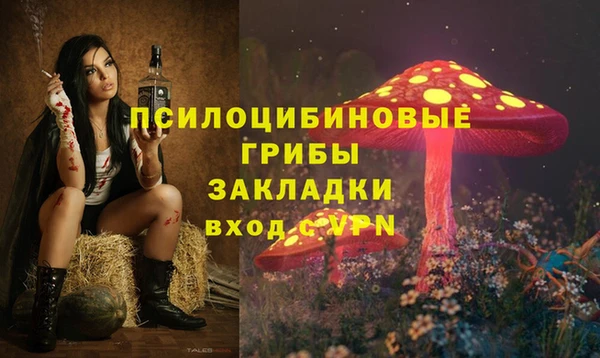 Альфа ПВП Алексеевка