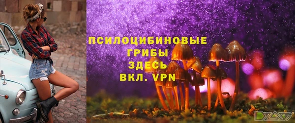 2c-b Алексин