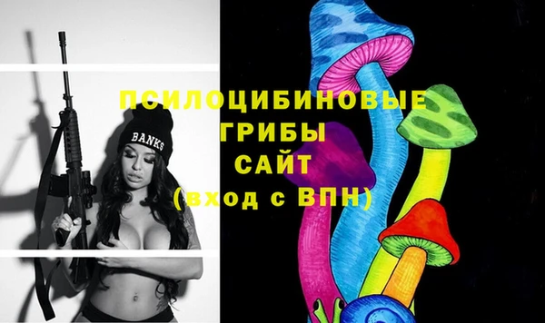 2c-b Алексин